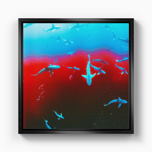 Neon Six - Canvas Print