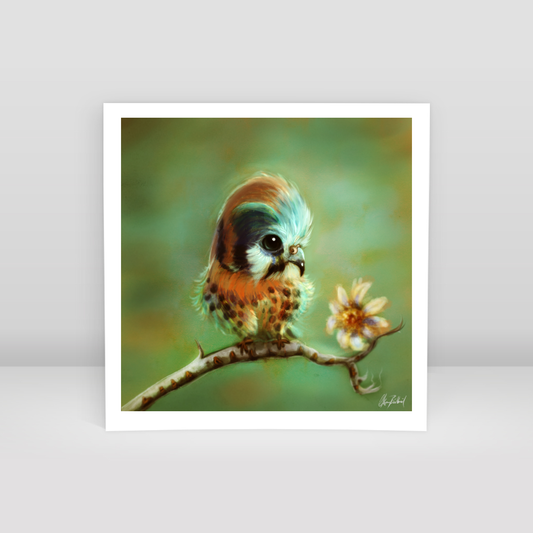 Little bird - Art Print