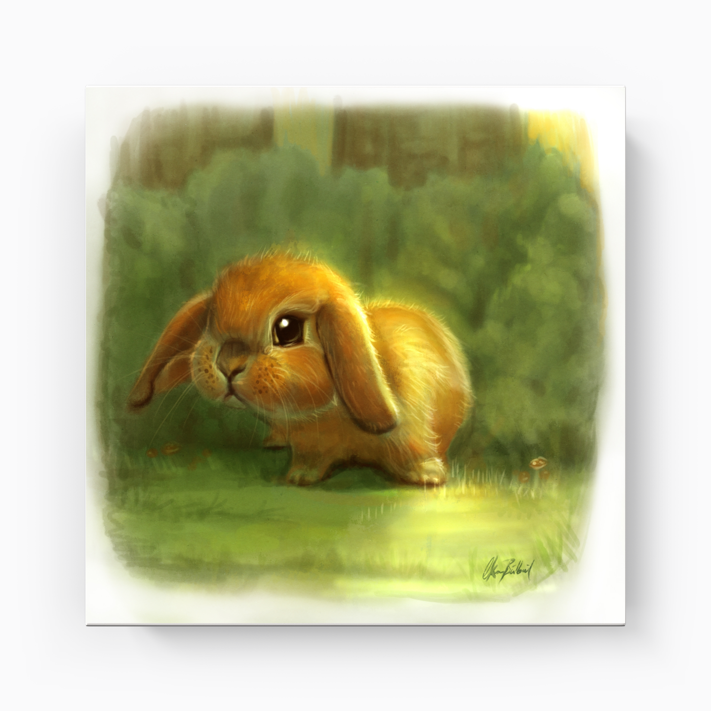 Tavşancık - Kanvas Tablo