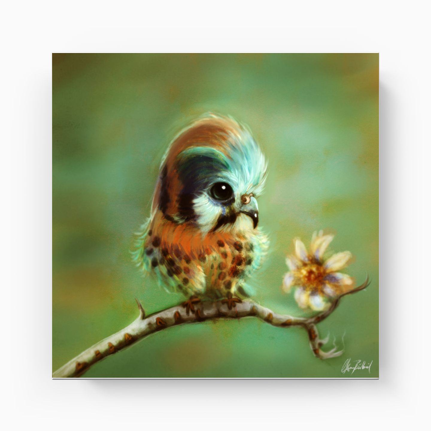 Minik kuş - Kanvas Tablo