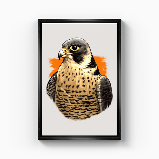 Falcon - Canvas Print