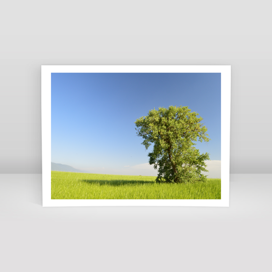 kır manzarası 4 - Art Print