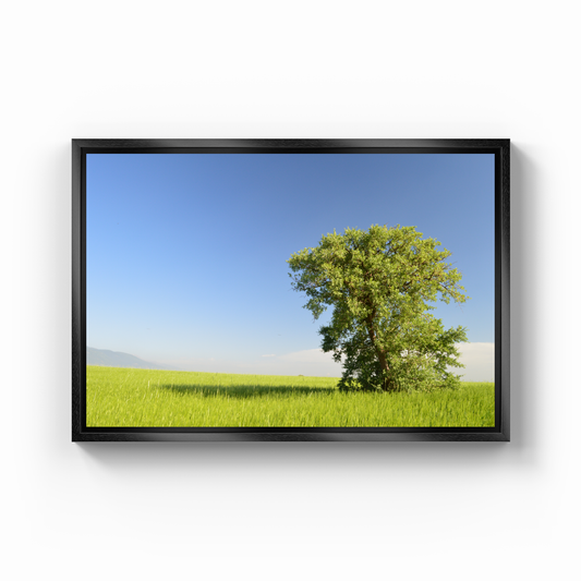 kır manzarası 4 - Kanvas Tablo