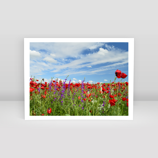 çiçekler gelincikler - Art Print