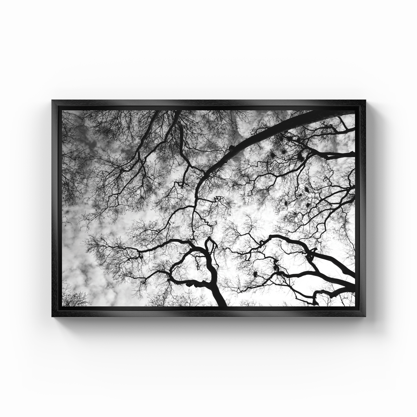 Ağaçlar - Kanvas Tablo