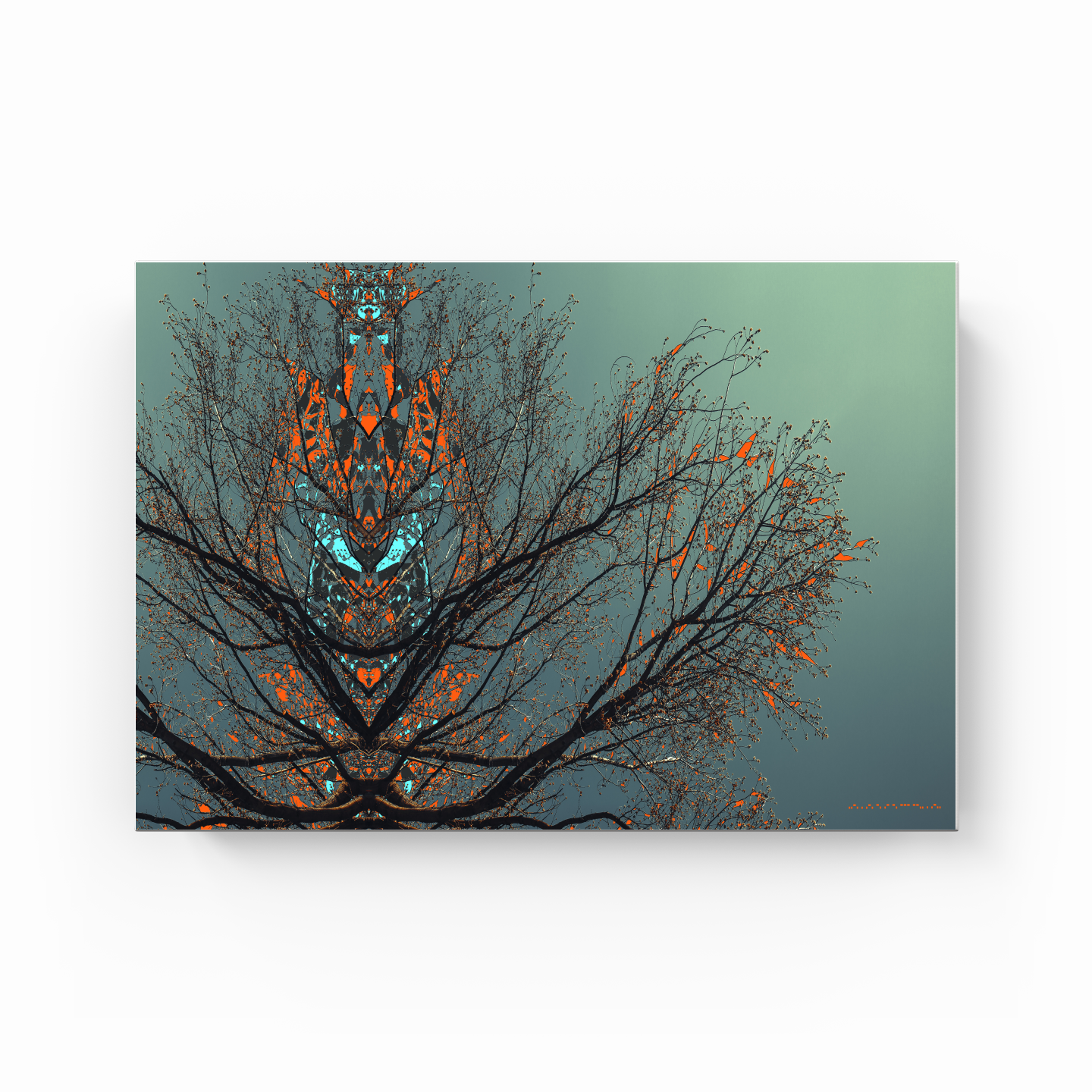 Simetri Ağaç Dal Orman Ekspresyonist Abstrakt Manzara No 09 - Kanvas Tablo