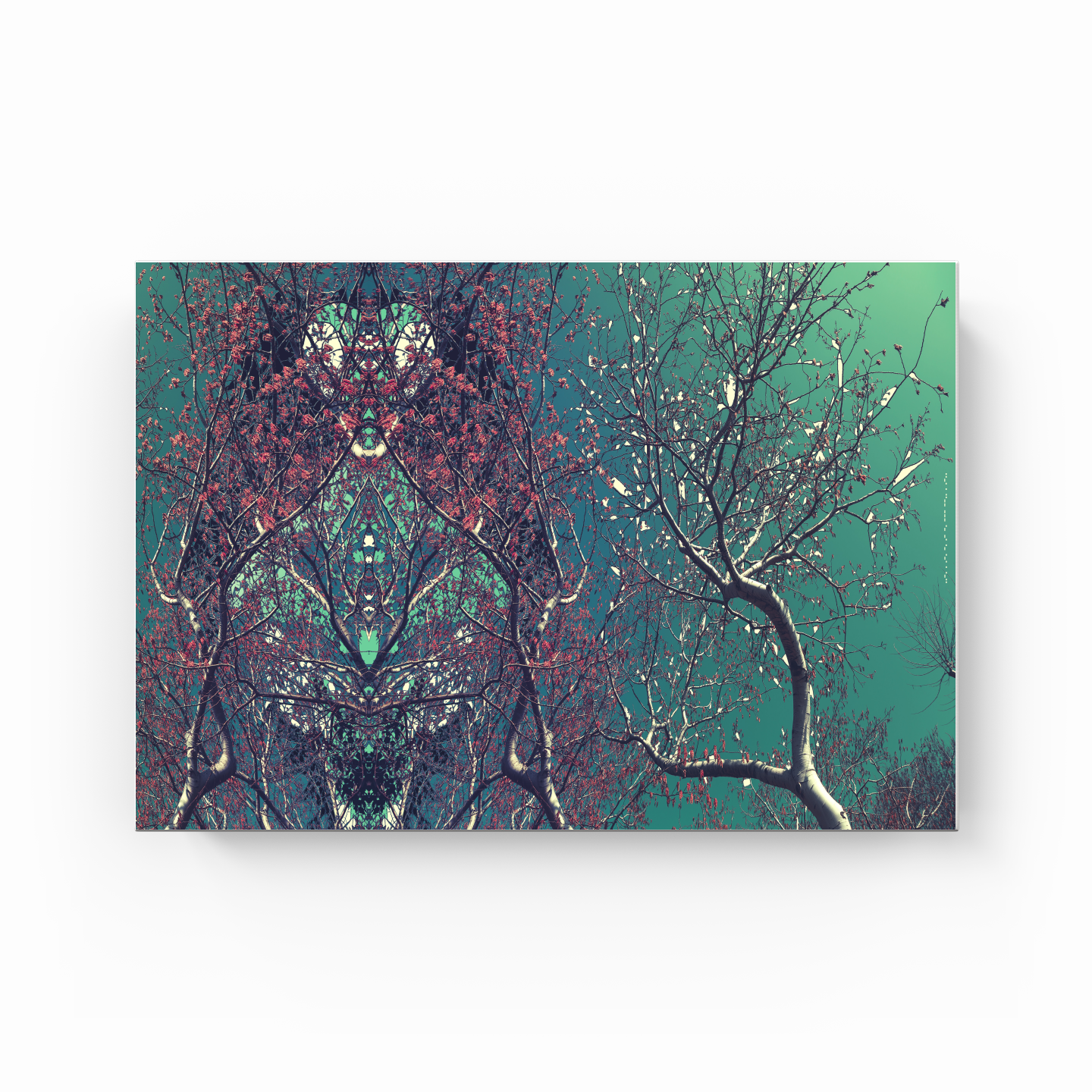Symmetry Tree Branch Forest Expressionist Abstract Landscape No 19 - Canvas Painting
