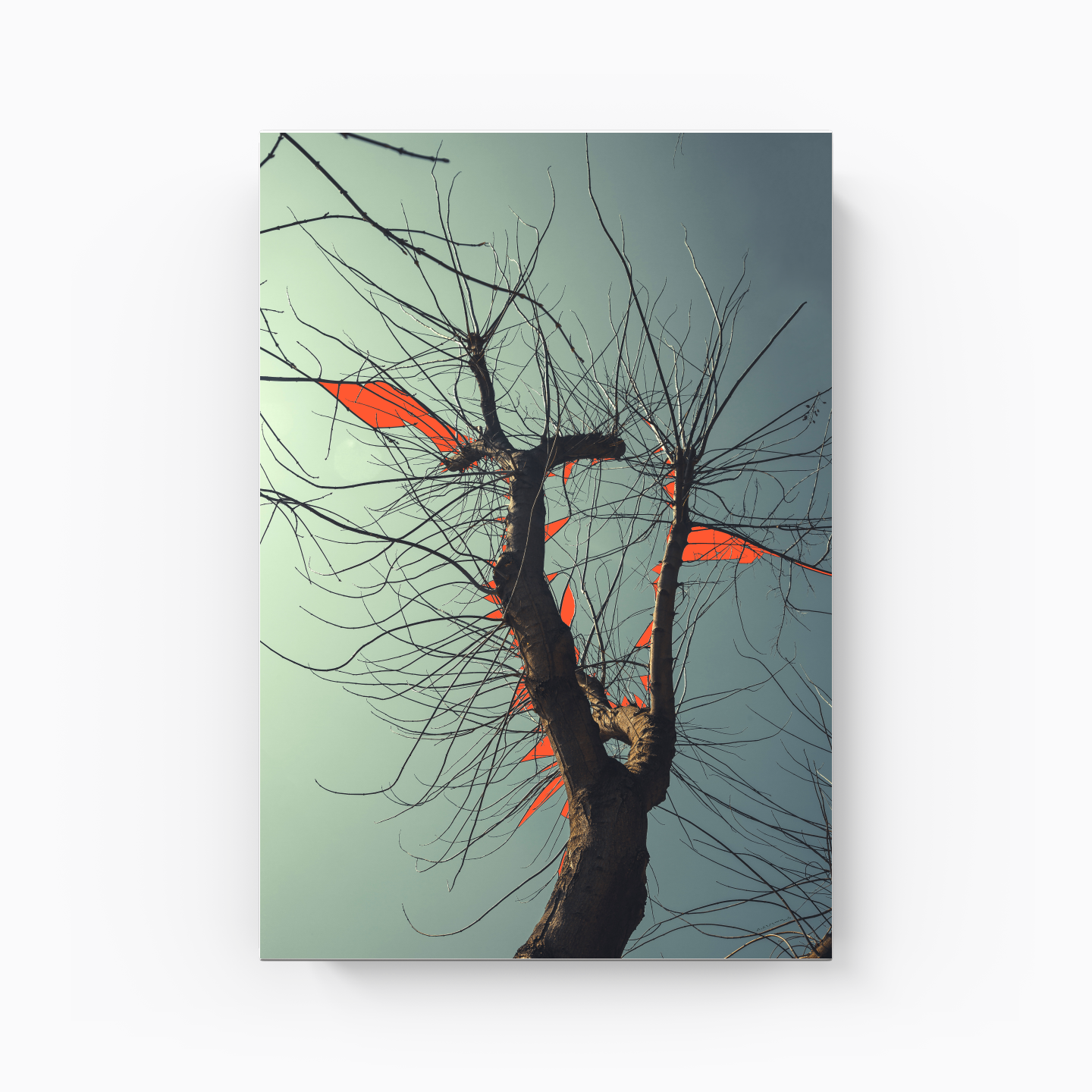 Tree Branch Expressionist Abstract Landscape No 05 - Canvas Painting