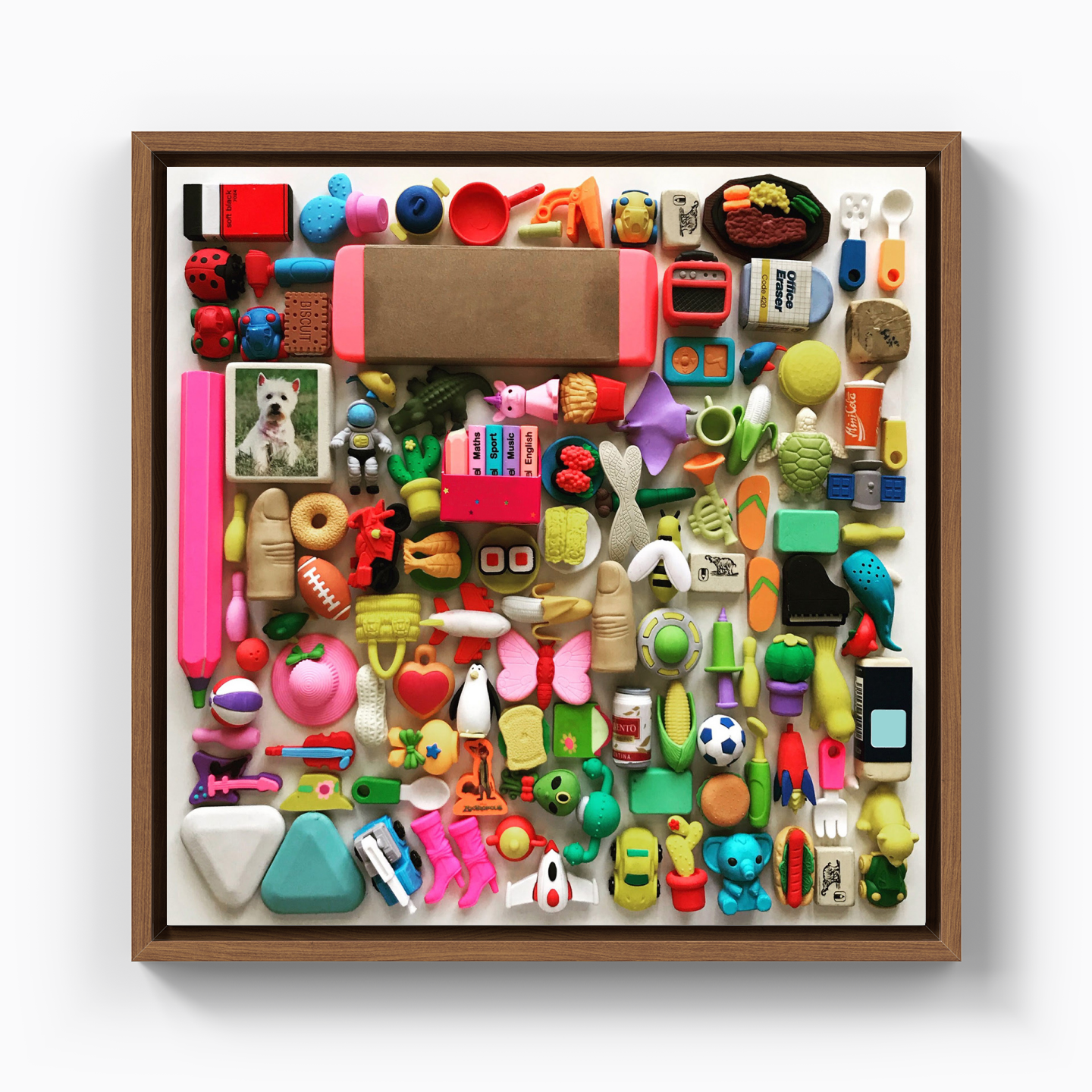 Eraser Collection - Canvas Print