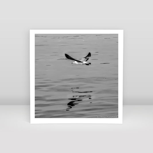 Martı - Art Print