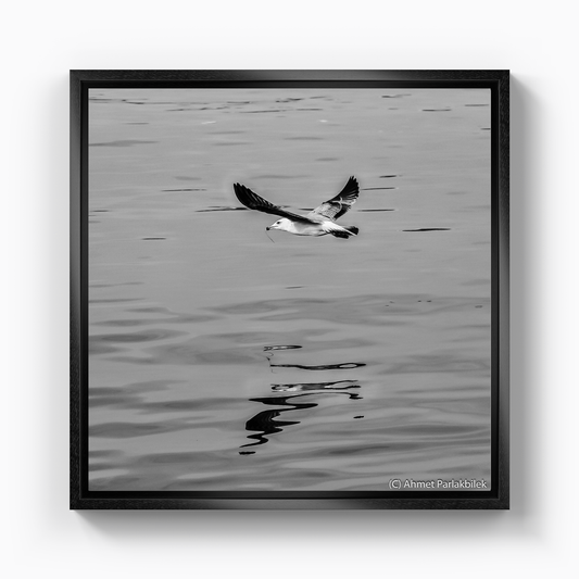 Martı - Kanvas Tablo