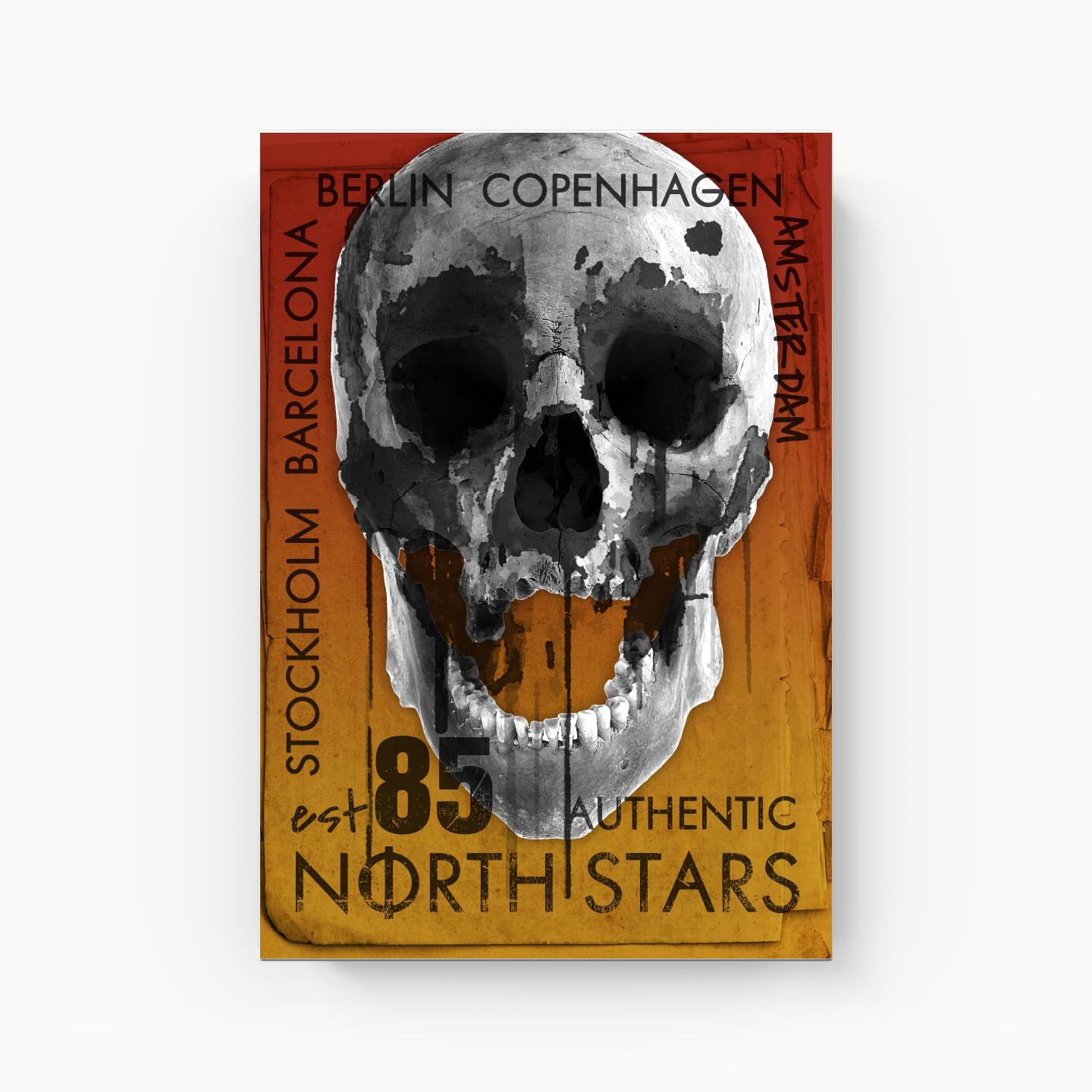 North - Kanvas Tablo