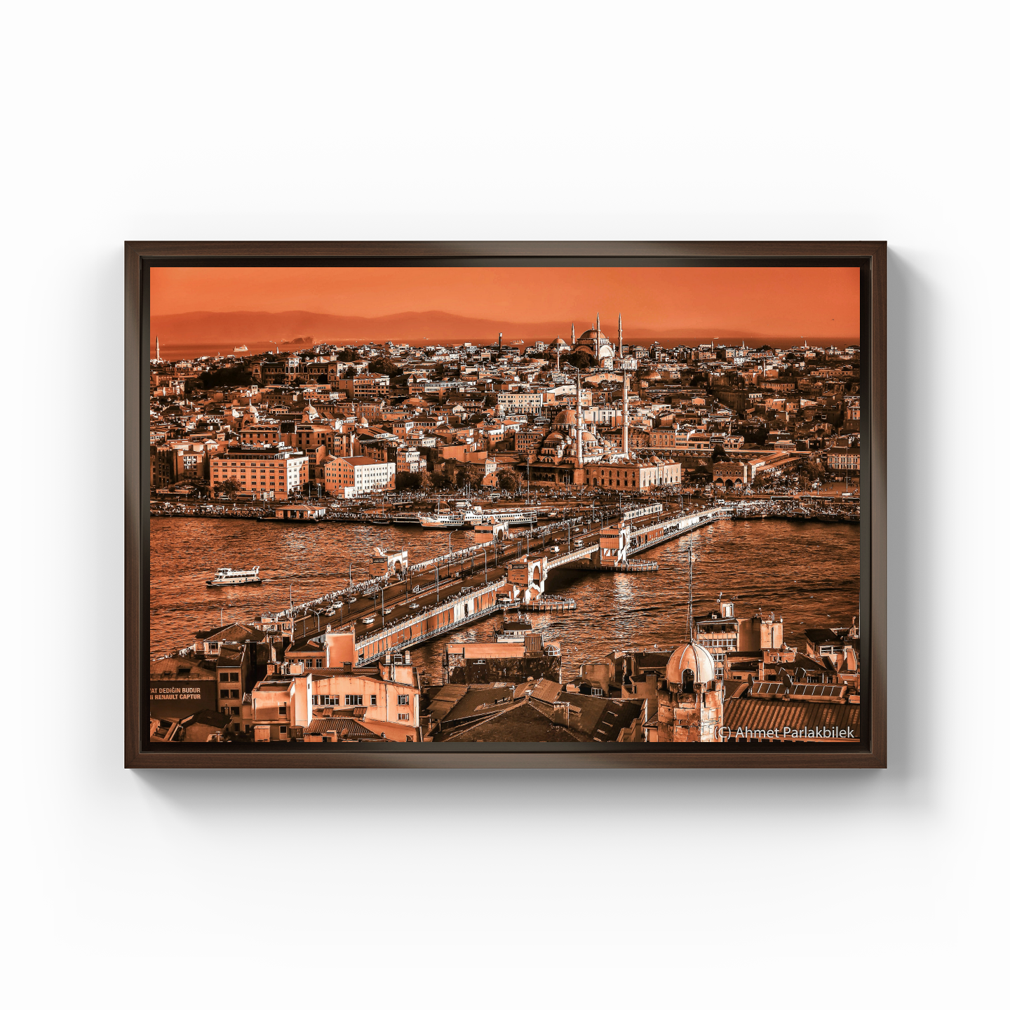 galata bridge - Canvas Painting