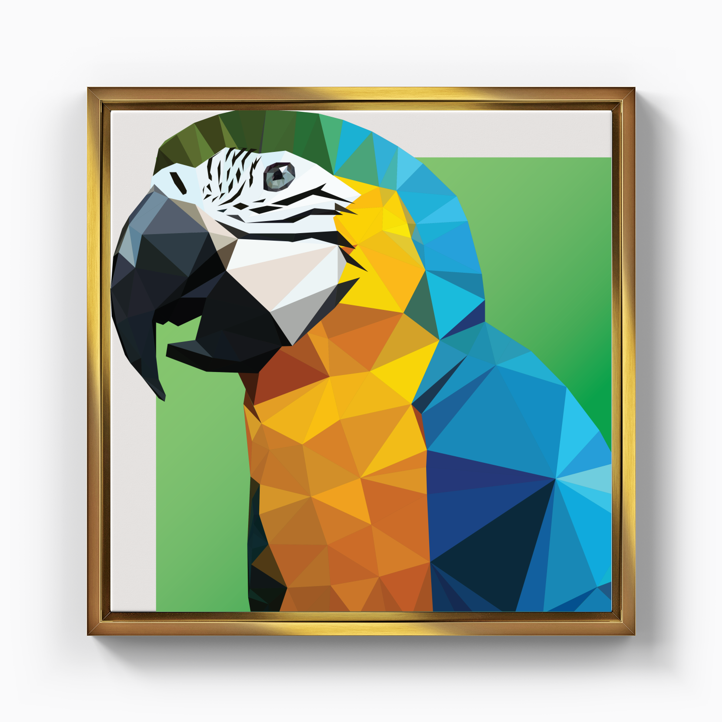 parrot - Kanvas Tablo
