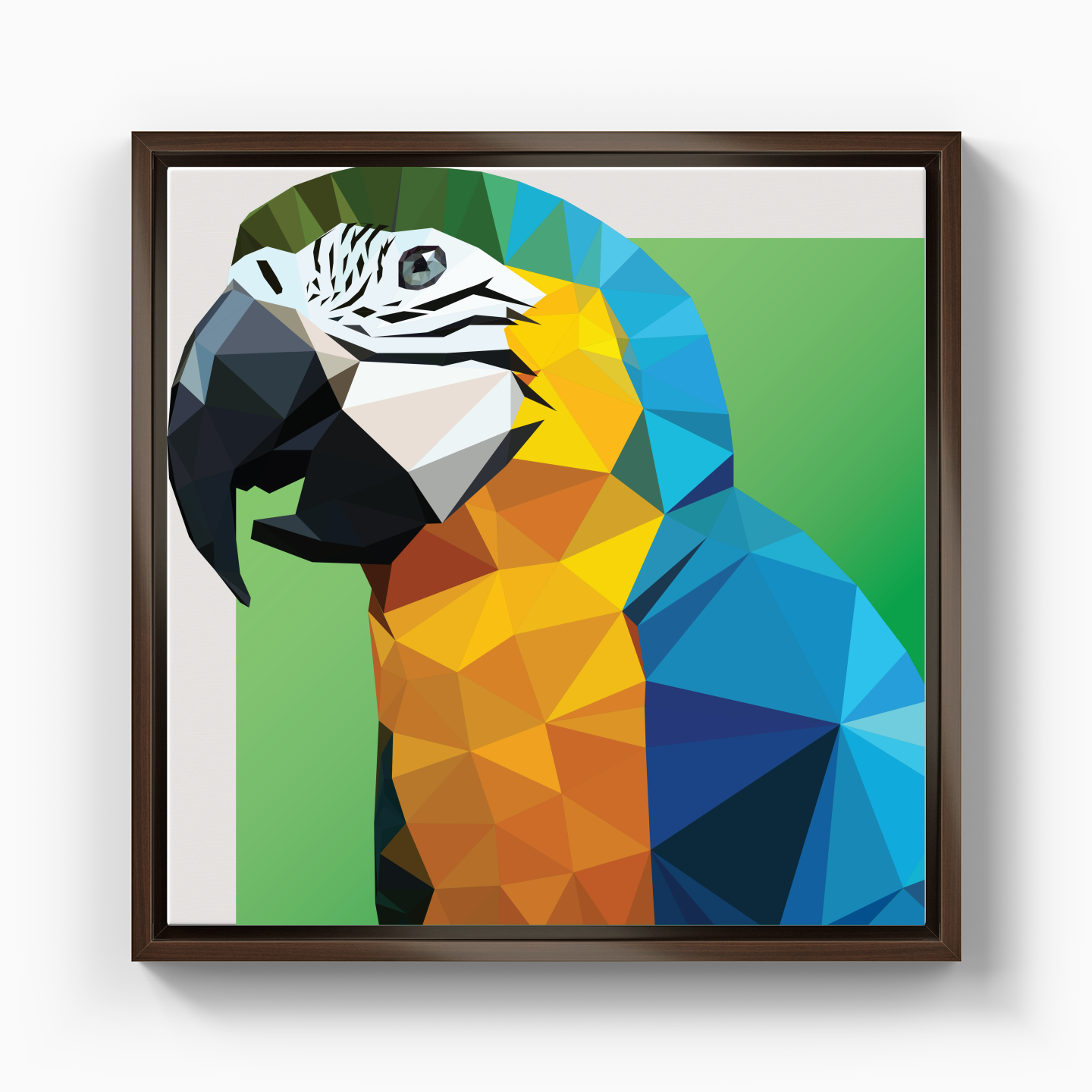 parrot - Kanvas Tablo