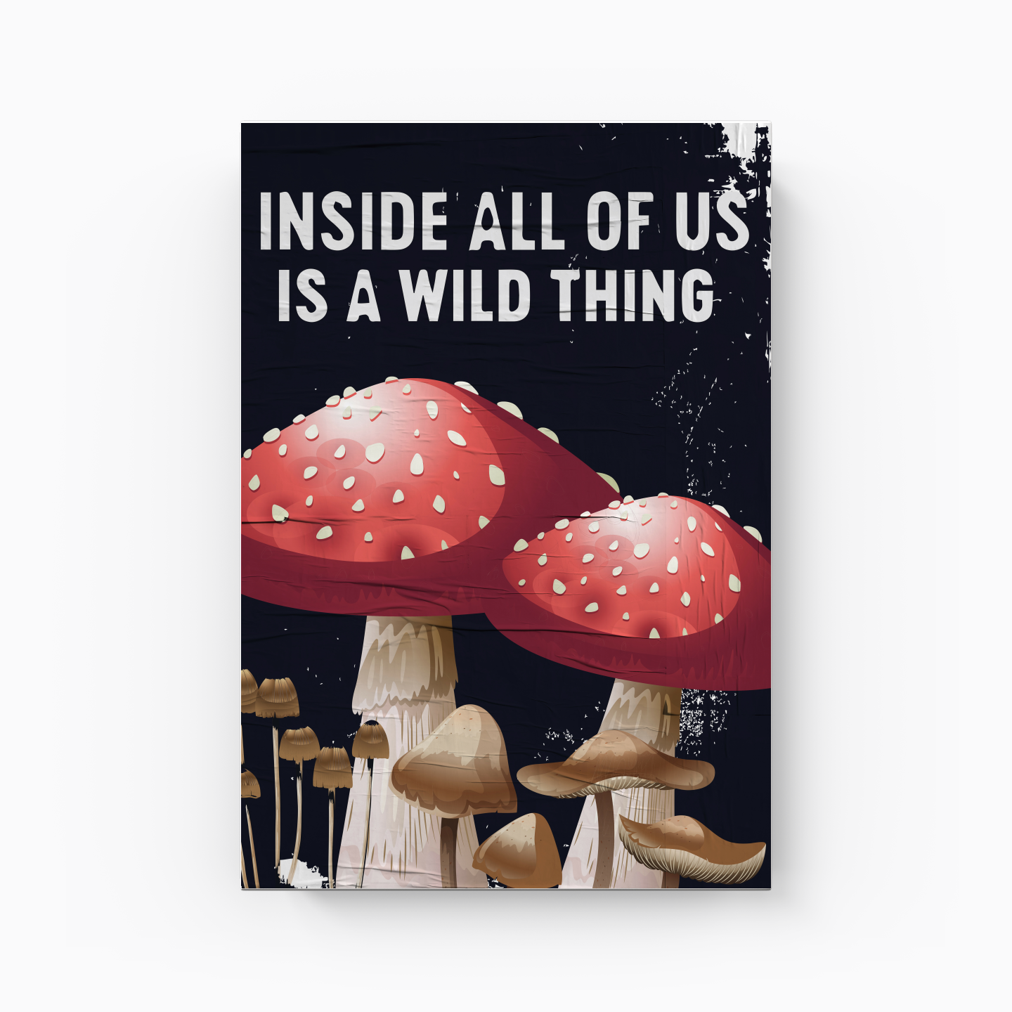 Aloanda - Canvas Print