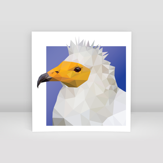 little vulture - Art Print