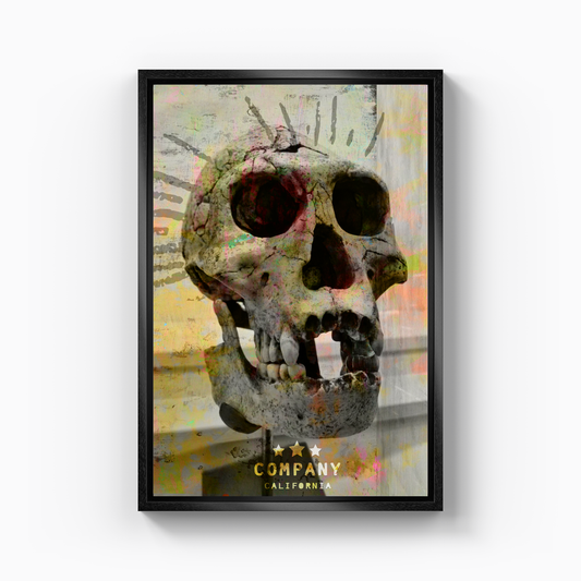 Arya - Canvas Print