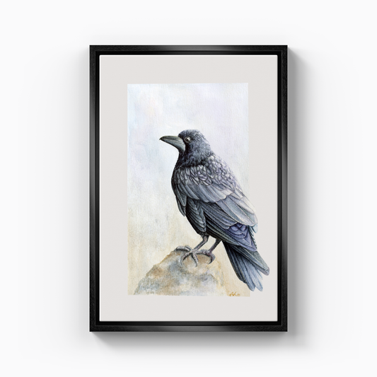 Corvus - Kanvas Tablo