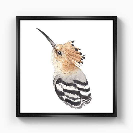 Hoopoe Bird - Canvas Painting