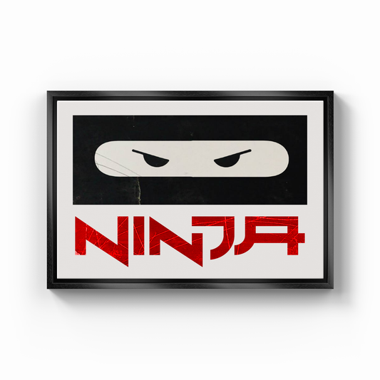 Ninja Boy - Kanvas Tablo