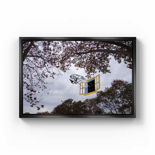 Sky - Canvas Print