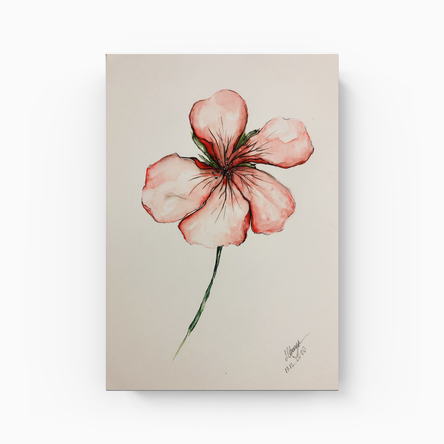 Çiçek - Kanvas Tablo