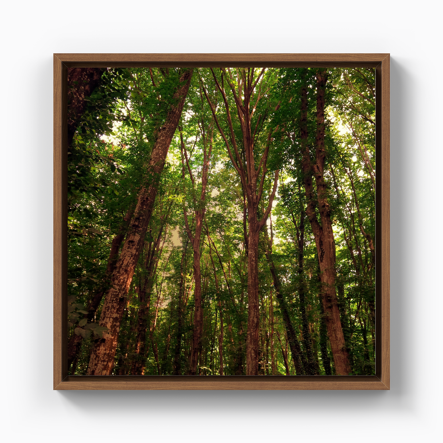 Ağaçlar - Kanvas Tablo