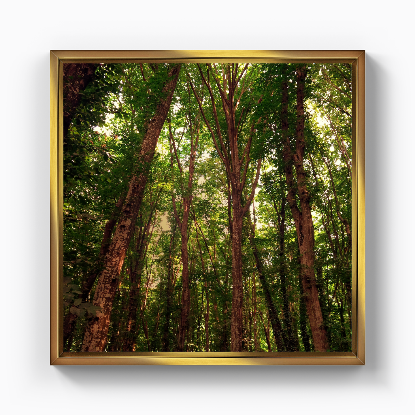 Ağaçlar - Kanvas Tablo