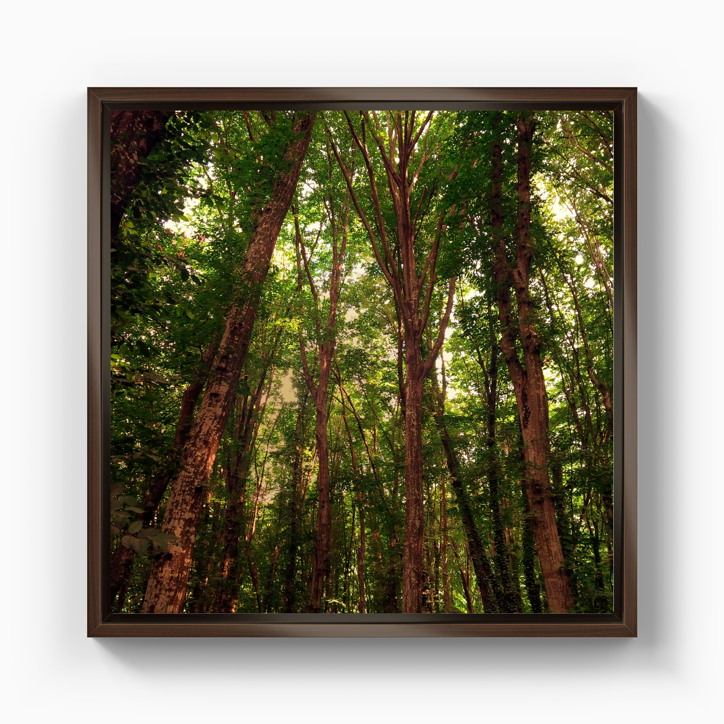 Ağaçlar - Kanvas Tablo