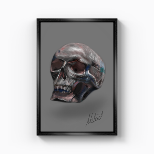 Skull - Canvas Print