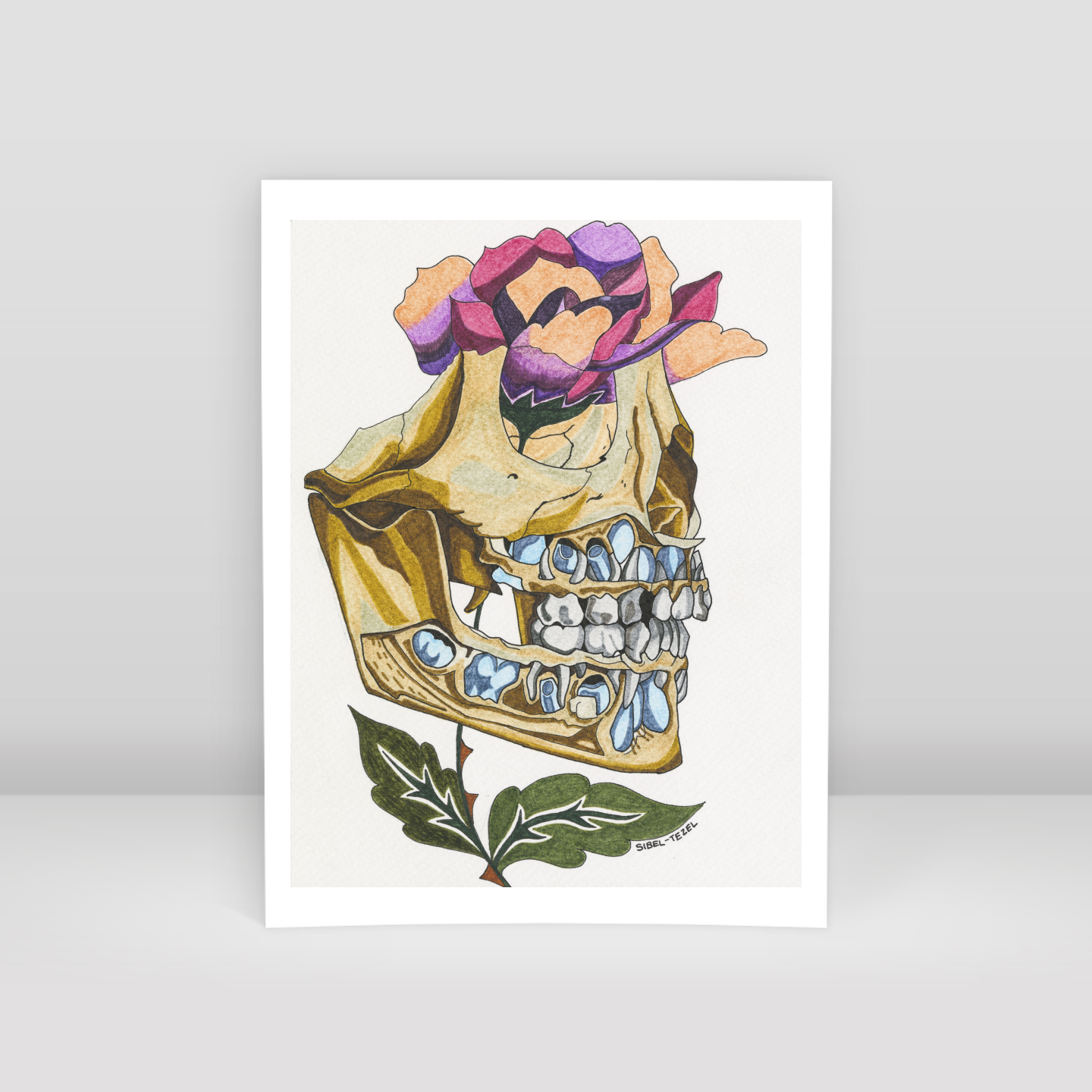 first and permanent teeth - Art Print