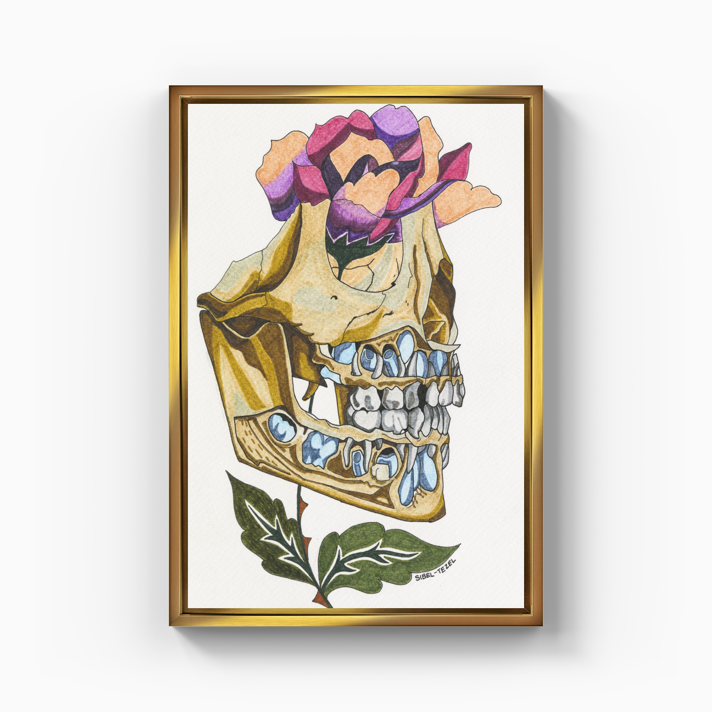 first and permanent teeth - Canvas Print