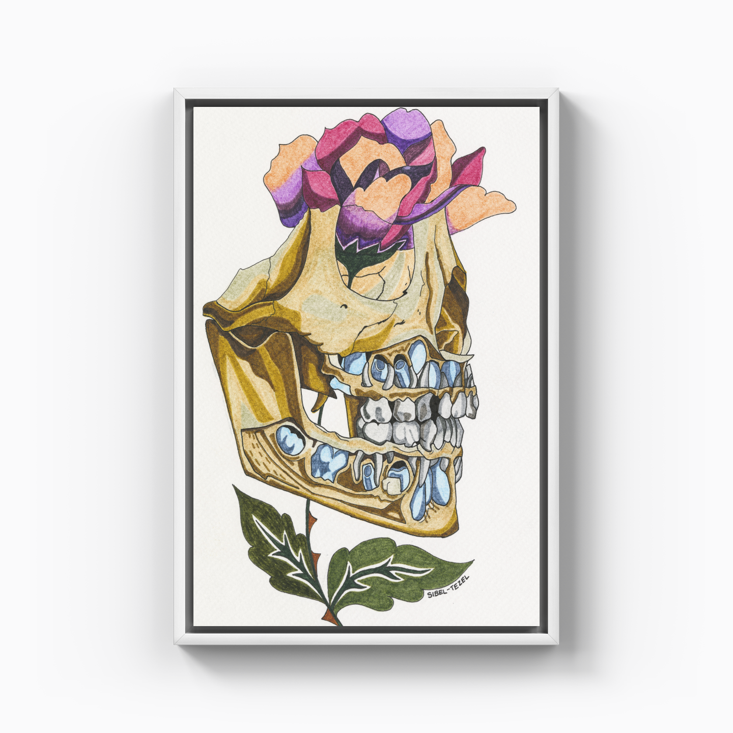 first and permanent teeth - Canvas Print