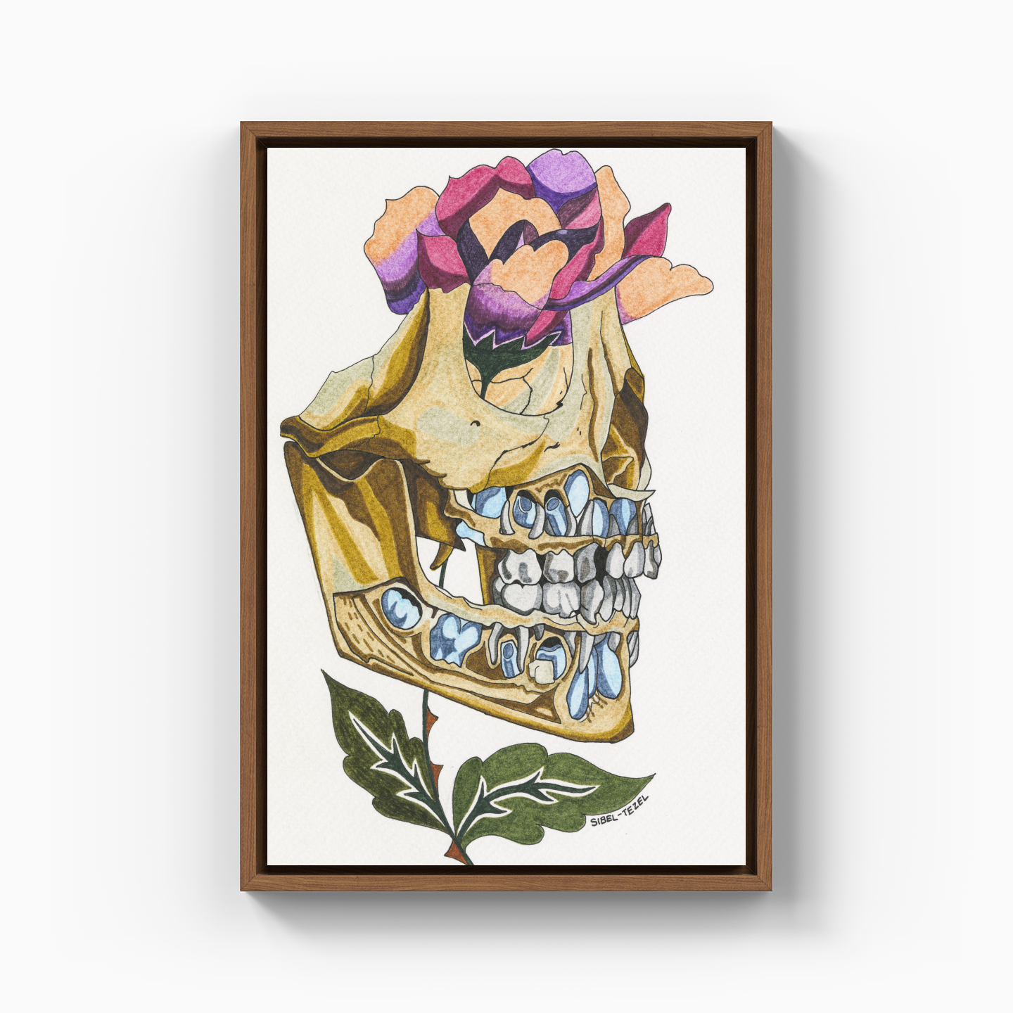 first and permanent teeth - Canvas Print