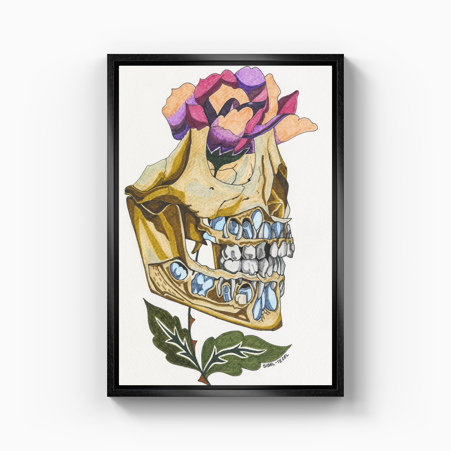 first and permanent teeth - Canvas Print