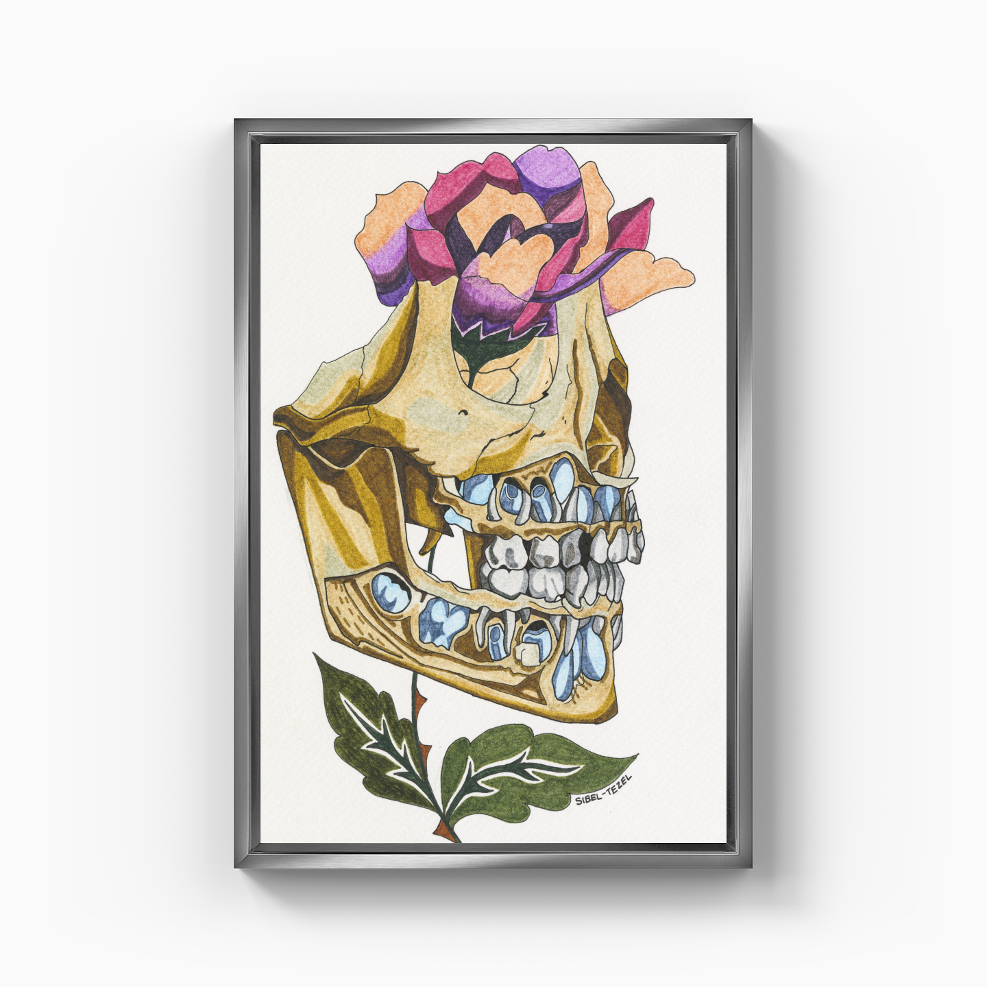 first and permanent teeth - Canvas Print