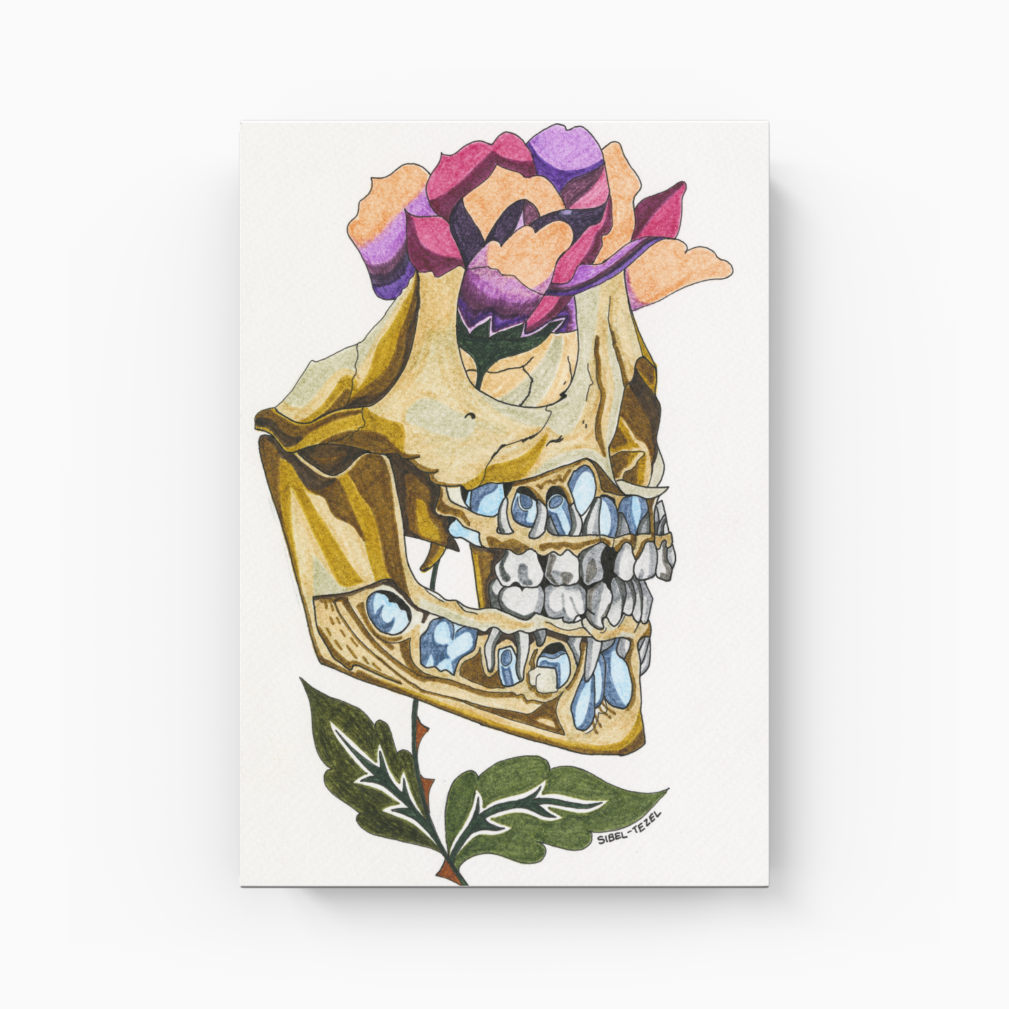 first and permanent teeth - Canvas Print