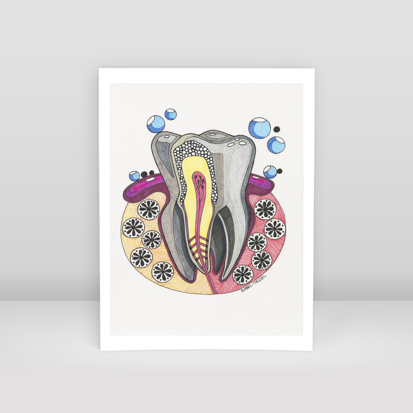tooth anatomy - Art Print