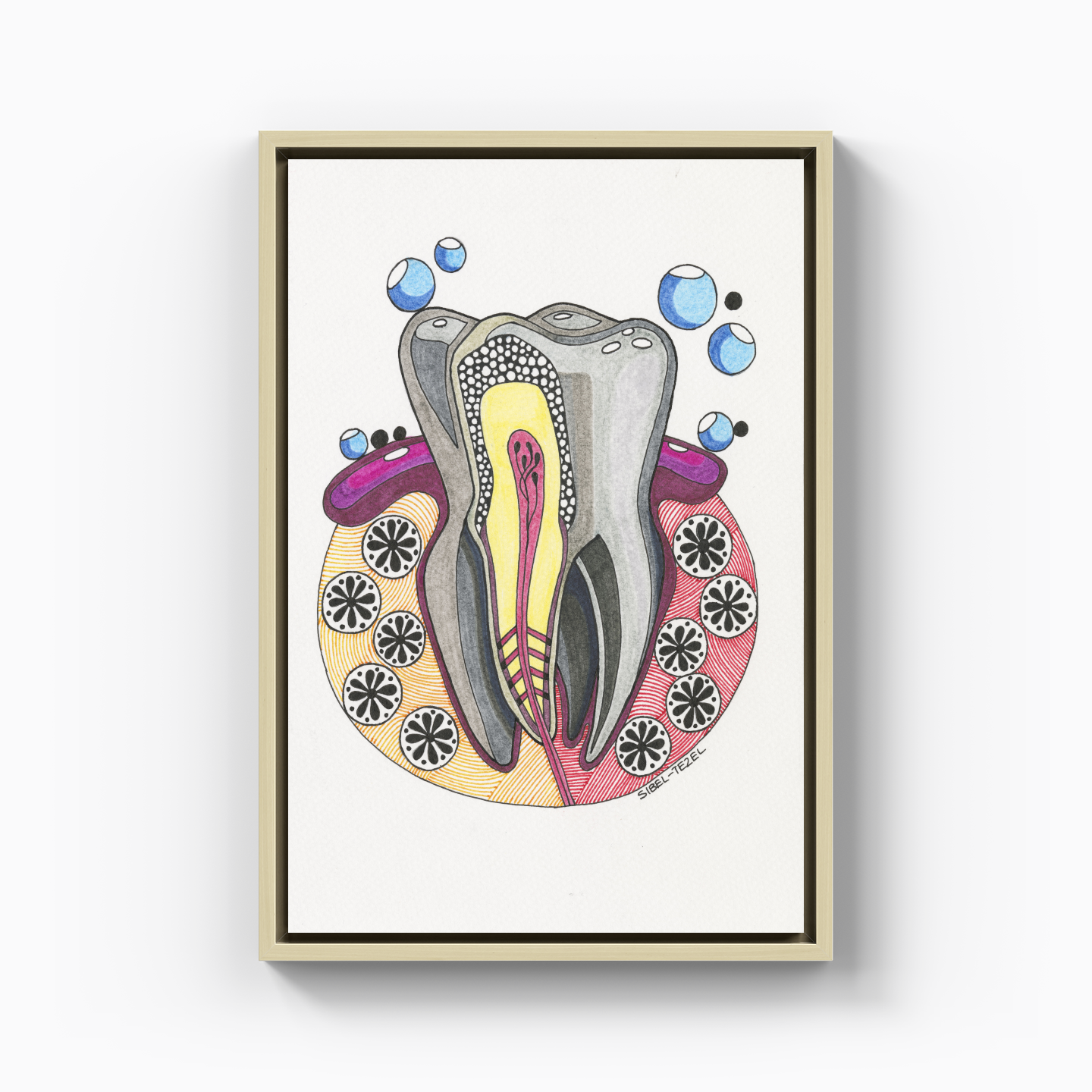 tooth anatomy - Canvas Painting