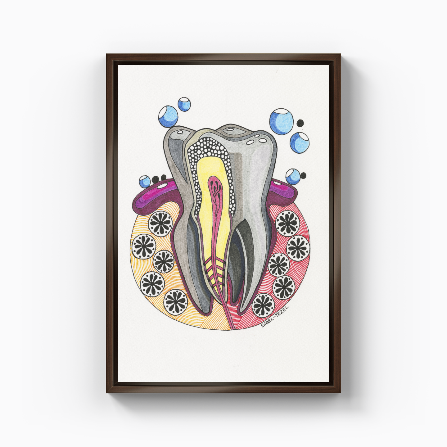 tooth anatomy - Canvas Painting