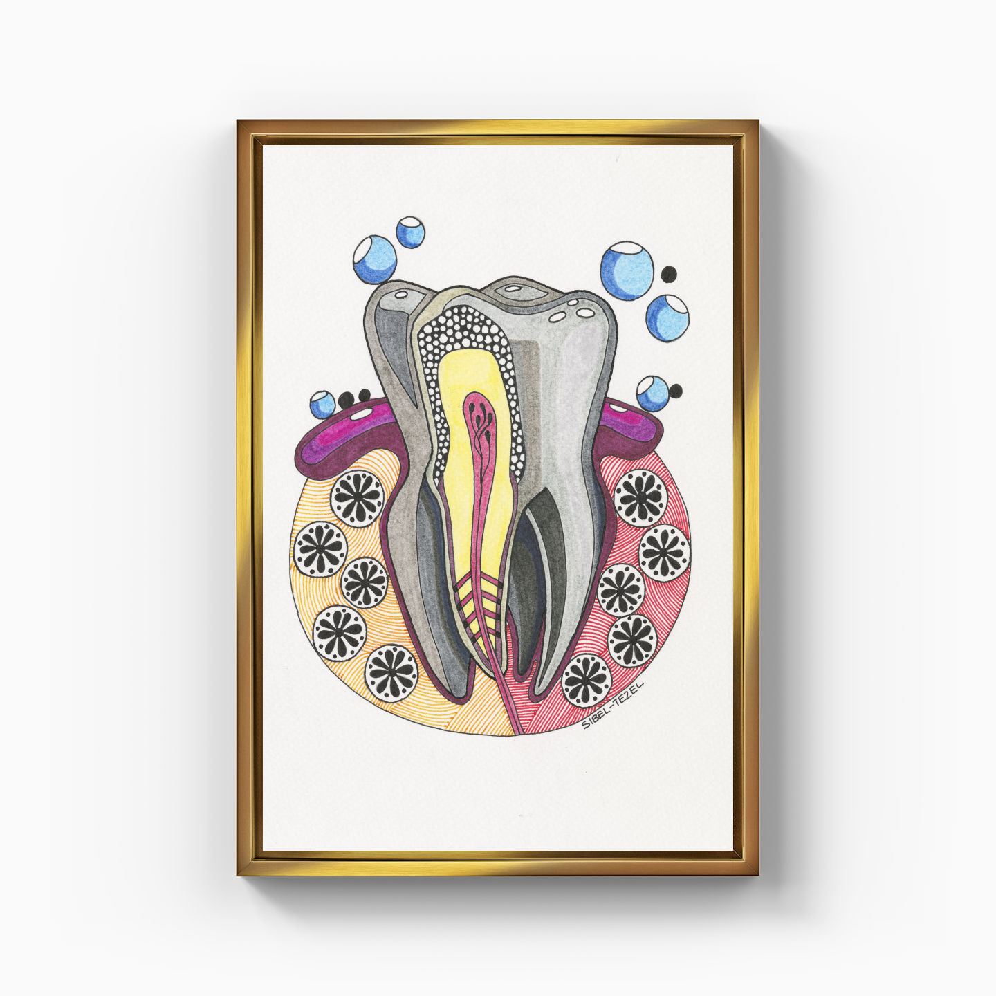 tooth anatomy - Canvas Painting