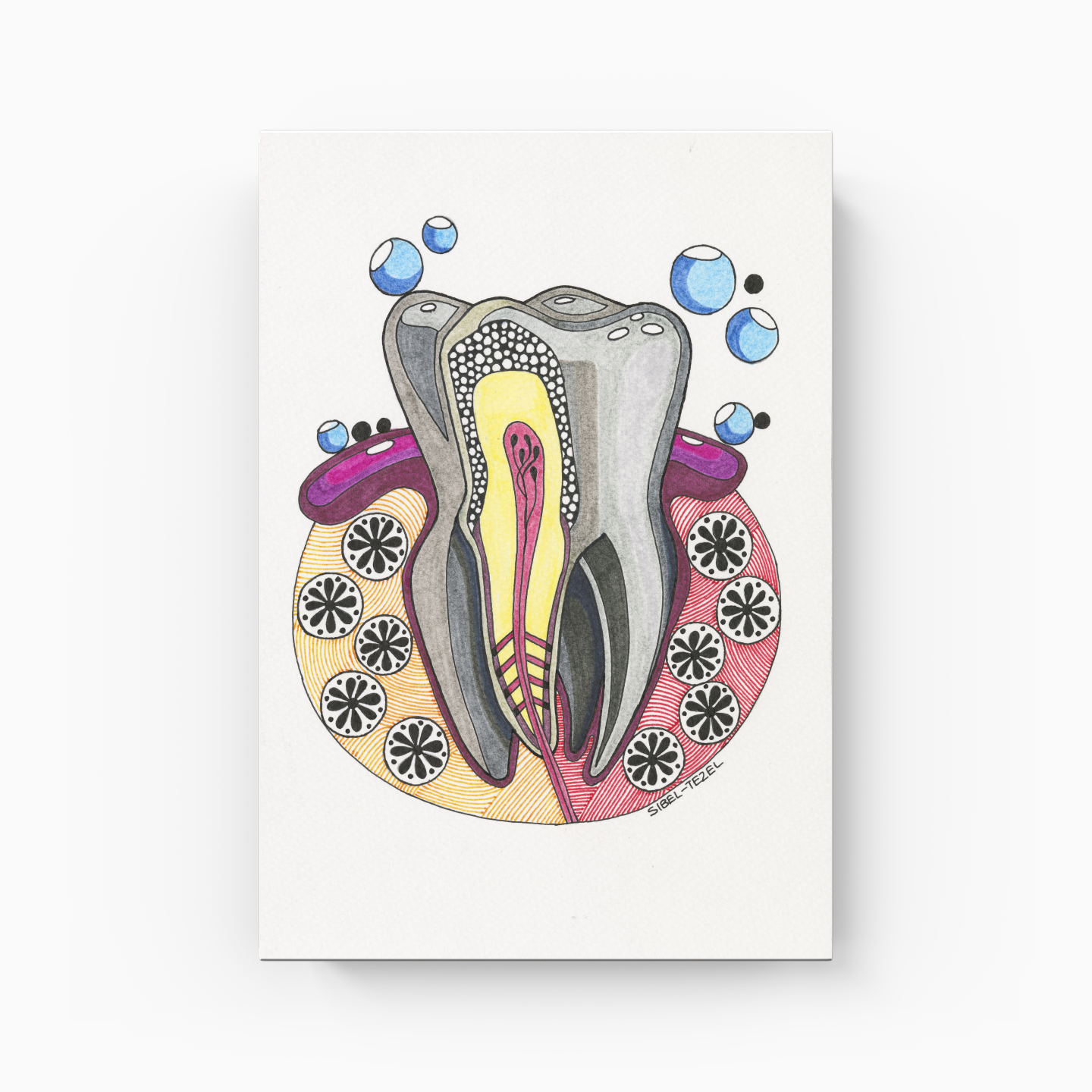 tooth anatomy - Canvas Painting