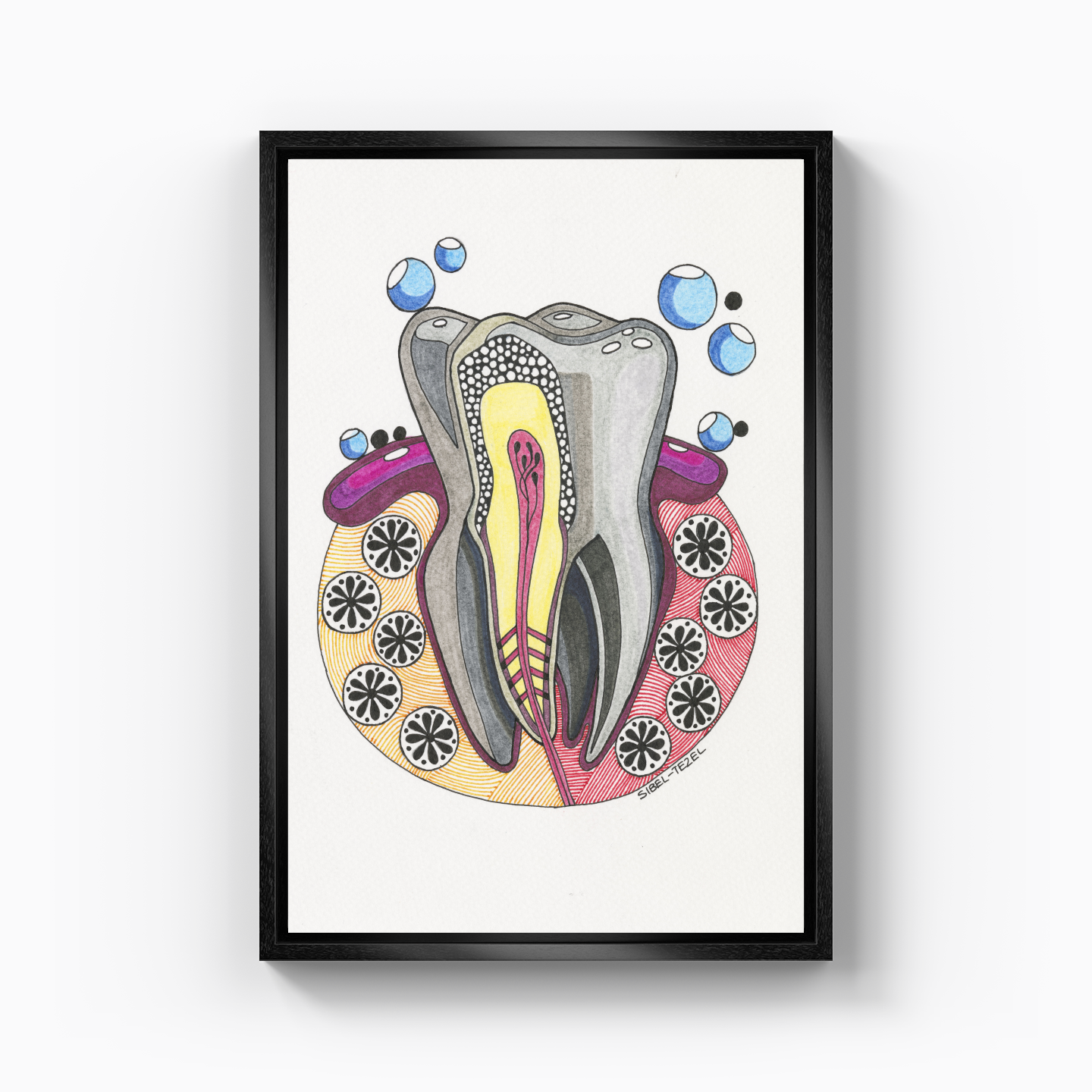 tooth anatomy - Canvas Painting