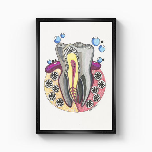 tooth anatomy - Kanvas Tablo