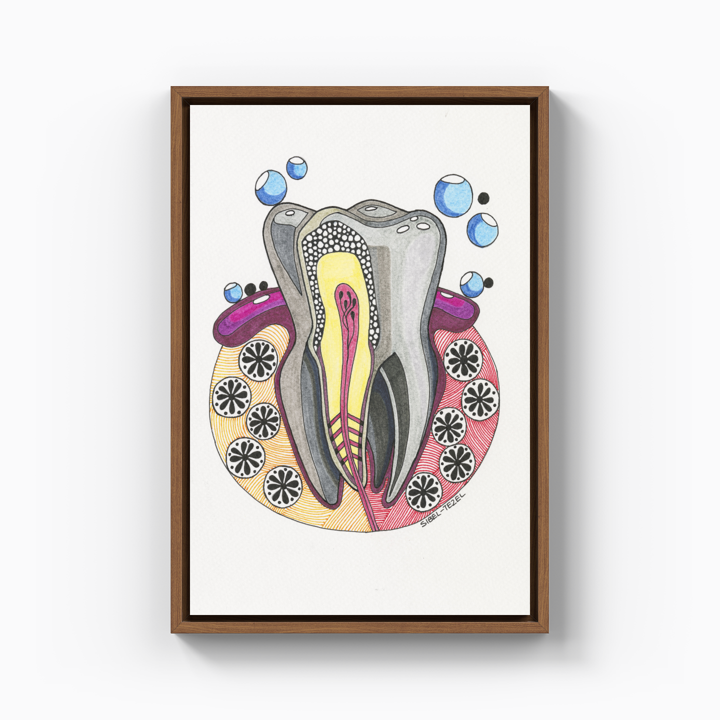 tooth anatomy - Canvas Painting