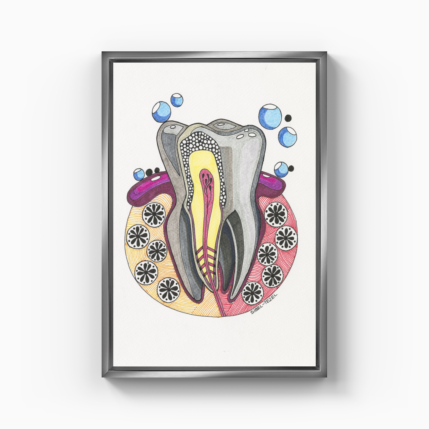 tooth anatomy - Canvas Painting