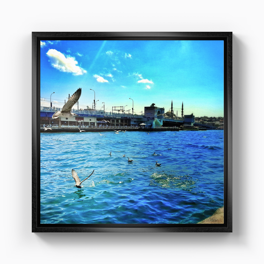 Freedom - Canvas Print